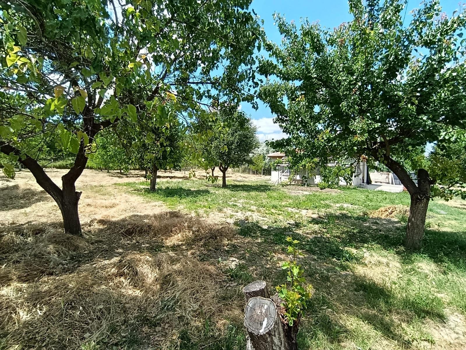 İlan görseli 23
